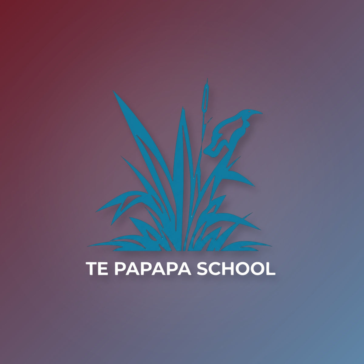 2026 Te Papapa School Supporters Range